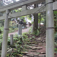 加波山神社の拝殿直下にある鳥居。神様の住む敷地の隅っこを、ちょっとだけお借りしてランチタイムに突入。
