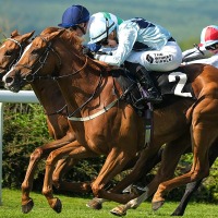 【阪神大賞典／穴ライズ】1人気想定アドマイヤテラと双璧の実績ながら……不当評価の妙味が「走り頃」