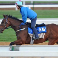 【皐月賞／追い切り診断】GI馬2頭に“待った”　最高評価「S」は馬体回復で逞しく成長した“想定6人気”前後の伏兵一角