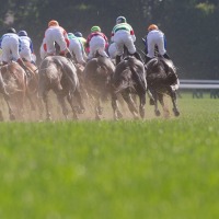 【オークス／馬場情報】直線は馬場の内目に痛みが目立つ土曜東京芝　内枠連対なしで狙いは外枠か