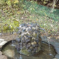 昭和の名水百選に選ばれた「護摩屋敷の水」で、ボトルに湧き水を汲む