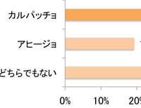 クリスマスに作るとしたら、どちらの方が作りたいですか？