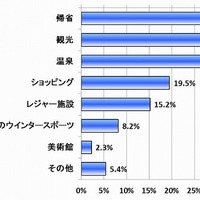 年末年始の長距離ドライブの目的