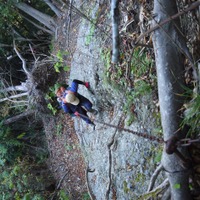 【小さな山旅】鎖場を登るのがとにかく楽しい、クサリバーズ・ハイ…湯沢挟・篭岩（２） 画像