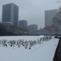 首都圏の帰宅の足、早くも影響……15日にかけて大雪 画像