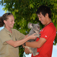 【テニス】オーストラリアでコアラをと戯れる錦織圭 画像