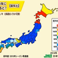 日本気象協会、2014年春の花粉飛散予測（第4報）発表 画像