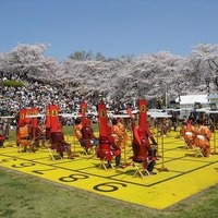 山形の「天童桜まつり人間将棋」が4月26日から2日間開催 画像