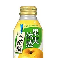 JTは、みずみずしい味わいが特長のクラッシュ果肉入り果汁飲料「果実体感 みぞれ梨」を3月24日より全国でリニューアル発売する。