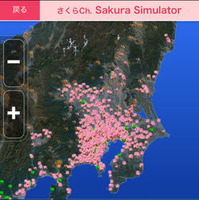 全国から寄せられる桜の観察リポートをもとにした最新の開花情報を日本上空から映し出し、過去・現在・未来まで詳細に見ることができる「さくらシミュレーター」をウェザーニューズが開始した。