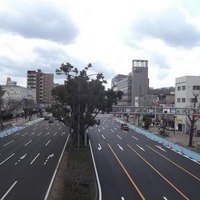 神戸市、大開通りの自転車レーンの供用開始へ 画像