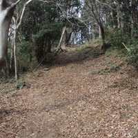 下りのあとは、また登り。このようにアップダウンが繰り返される。長距離を長時間歩くため健脚向けのコースである。