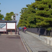大仙公園を走る「2015堺シティマラソン」の参加申し込み締め切りは4月9日まで