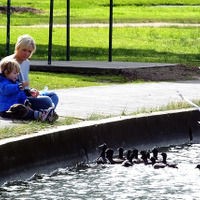 サーキットを外れて湖のほとりに立つ。水鳥に餌をあげる親子に出会った