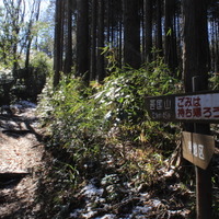 登山道1。始めはところどころに雪がある程度だが。