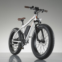 電動ファットバイク「RadRover Electric Fat Bike」…米シアトル発 画像