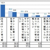 国際スポーツイベントの観戦方法