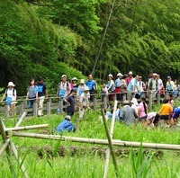 参加費全額がユニセフ募金のウォーキングイベント「ユニセフ・ラブウォーク in かわさき」