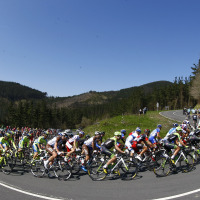 【自転車ロード】バスク一周第1S、マシューズがゴールスプリント制覇で今季2勝目 画像