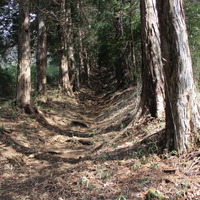 写真ではわかりにくいが、なかなか厳しい登りだ。写真左には少々ゆるやかな道もあるので、自信のない方はそちらを。