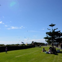 【レポート】オーストラリアで200以上の凧がなびいた 画像