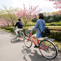 【GWドライブ】新緑の水戸…車内で楽しむ薫る風