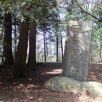 頂上の石碑には「浅房山」と書かれている。