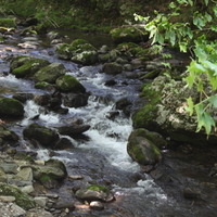 花園川の流れ。マイナスイオンの量がものすごい…はず。