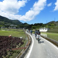 日本で最も美しい村と呼ばれる京都府相楽郡和束町