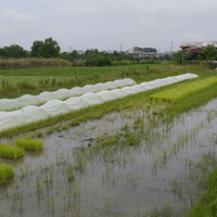 新連載【礒崎遼太郎の農輪考】地球で生きる、自然発生的な選択肢としての自転車