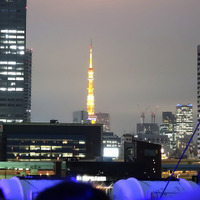 出航すると進行方向右手に見えてくる東京タワーも【写真：田中】