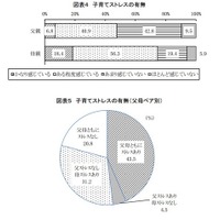 子育てストレスの有無／子育てストレスの有無（父母ペア別）