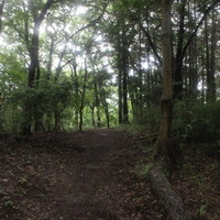 見晴らしの良い場所を抜けると、平坦な道に出る。御嶽山が登り続きだったので、一休みできる。