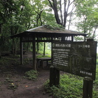 15:29　階段終わり。東屋へ到着。見晴らしが良い場所だと思ったら、ここが山頂であった。