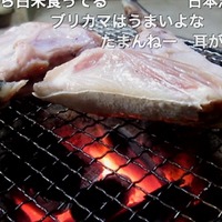 淡々とブリカマを焼くだけの動画