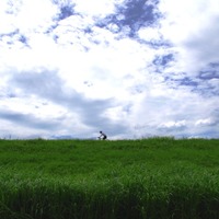 木津川沿いの河川敷は空が広く、気持ちいい。自転車道では多くのサイクリストとすれ違う