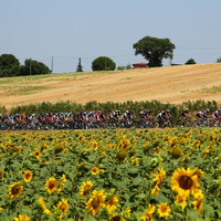 【ツール・ド・フランス15】バンアーベルマート、第13ステージでツール初勝利 画像