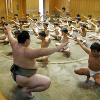 【相撲】わんぱく相撲全国大会、両国国技館で開催…海外選手も参加 画像