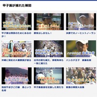 バーチャル高校野球で過去の名シーン動画「甲子園が揺れた瞬間」公開 画像