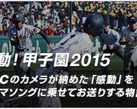【高校野球】前日の感動シーンを編集した「感動!甲子園2015」…バーチャル高校野球 画像