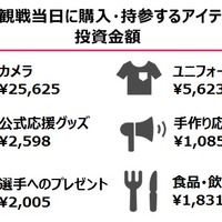 女性のスポーツ観戦に関する意識・実態…観戦のきっかけ「誘われて」 画像