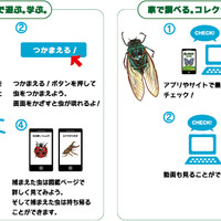 虫取り擬似体験アプリ「森のともだち 森の昆虫編」…Beaconを活用 画像