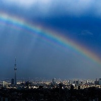 【話題】東京にもこんなにきれいな虹がかかるんですね。 画像