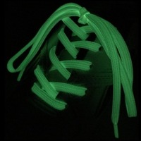 暗い所で自然に発光する靴紐「シューレース（蓄光）」 画像