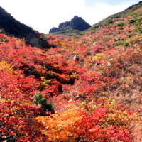 【小さな山旅】イロトリドリの世界を歩く紅葉ハイク…福島県・安達太良山（2） 画像