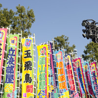 白鵬、日馬富士、鶴竜…三横綱そろい踏みの大相撲九州場所が始まる 画像