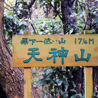 【小さな山旅】ヤブの中からこんにちは…茨城県・天神山（2） 画像