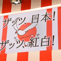 小林幸子、紅白に特別出演「豪華絢爛に盛り上げる」 画像