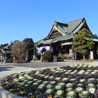 【小さな山旅】成田山に末詣…千葉県・成田山 画像