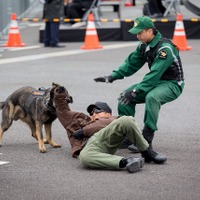 東京マラソンのゴール地点で「テロ対処訓練」…ドローン対応訓練も 画像